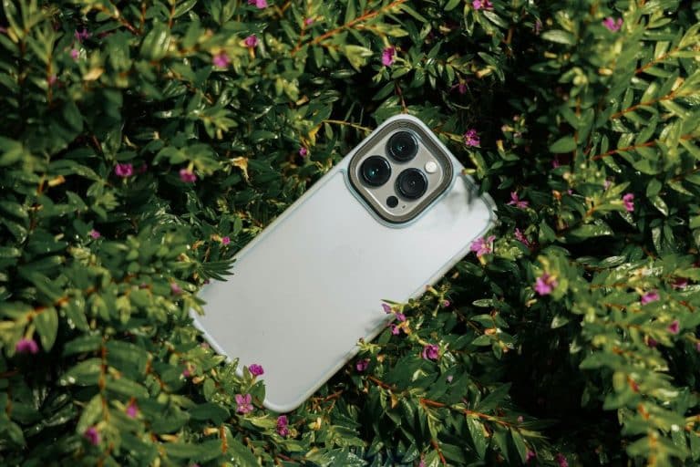 mejor iPhone para tu bolsillo: guía 2025